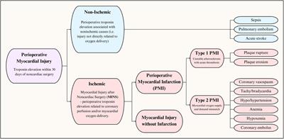 Perioperative myocardial injury and infarction after noncardiac surgery: a review of pathophysiology, diagnosis, and management